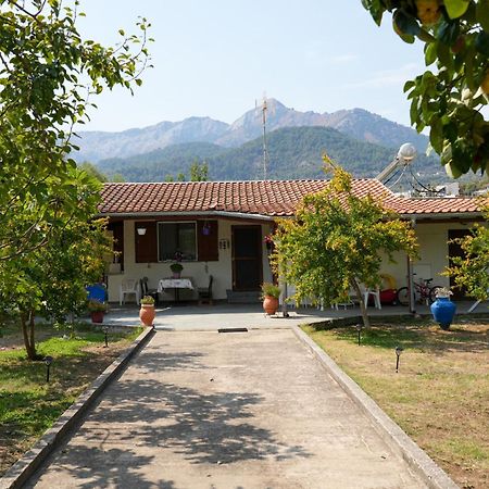 Olive Summer House Chrysi Ammoudia Bagian luar foto