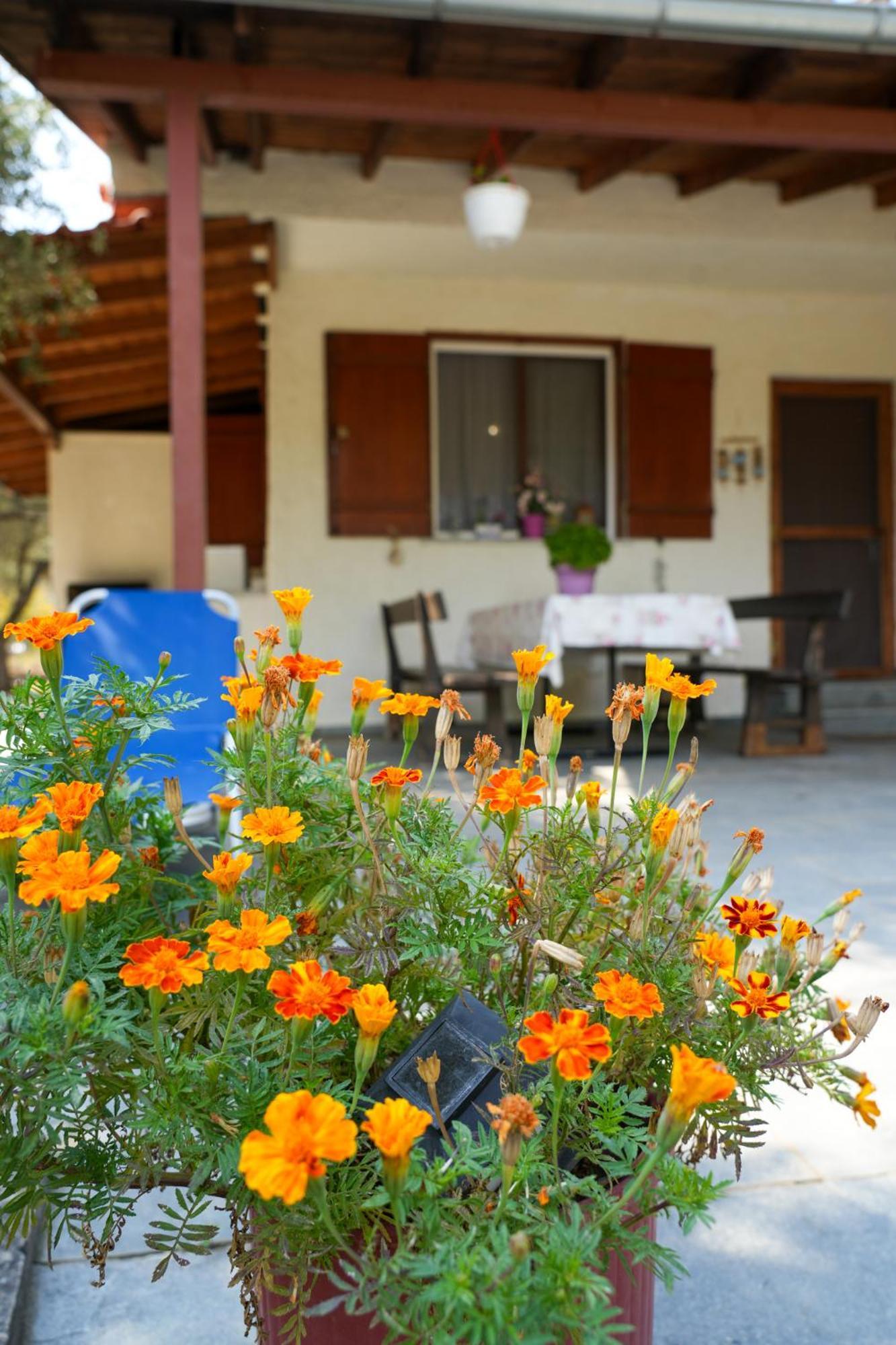 Olive Summer House Chrysi Ammoudia Bagian luar foto