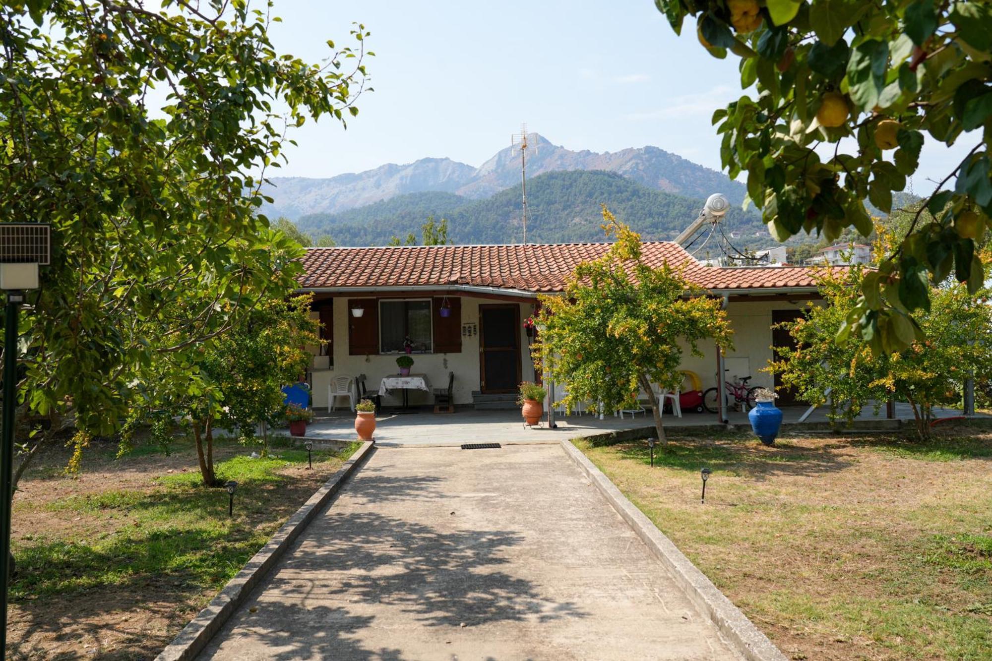Olive Summer House Chrysi Ammoudia Bagian luar foto
