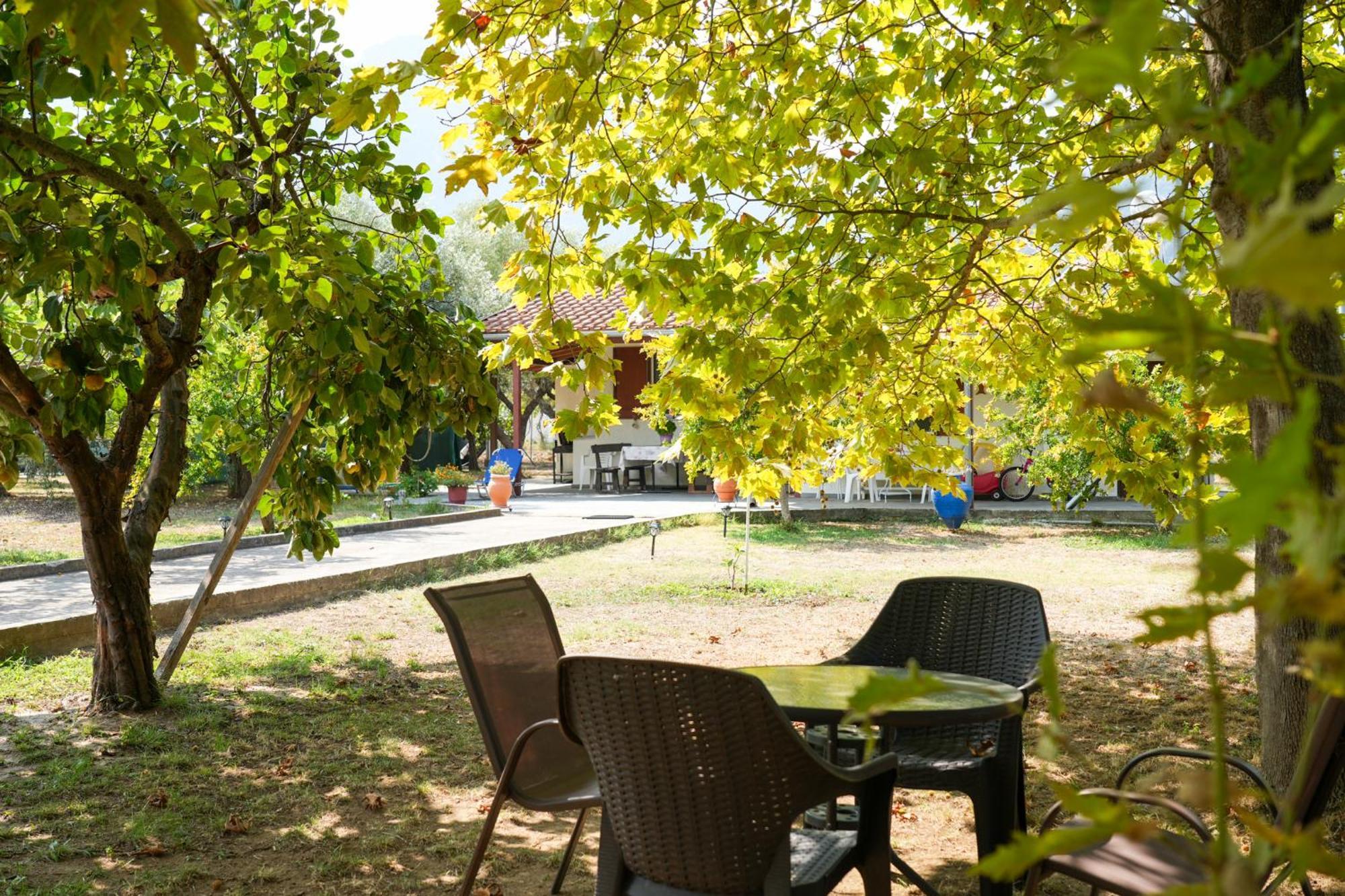 Olive Summer House Chrysi Ammoudia Bagian luar foto