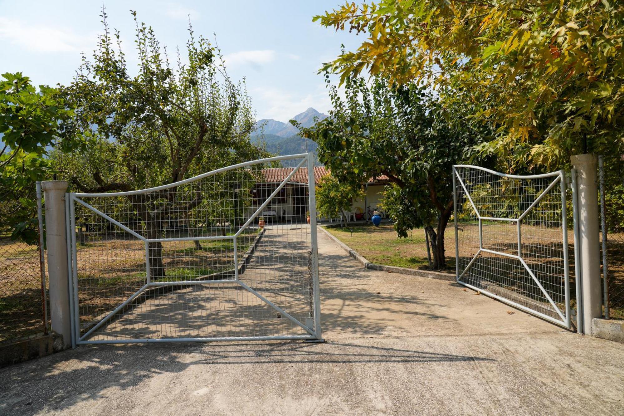 Olive Summer House Chrysi Ammoudia Bagian luar foto