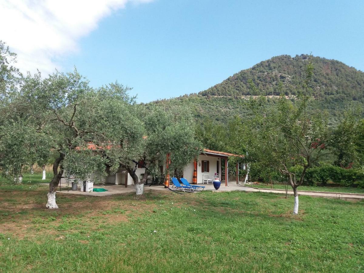 Olive Summer House Chrysi Ammoudia Bagian luar foto