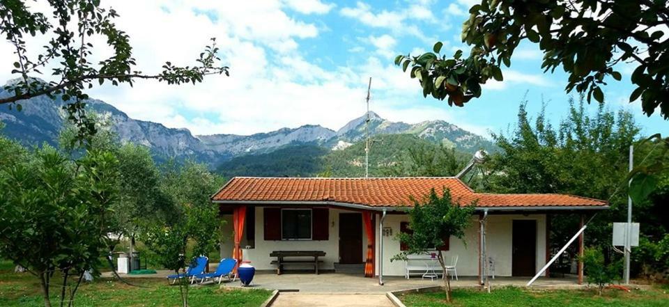 Olive Summer House Chrysi Ammoudia Bagian luar foto